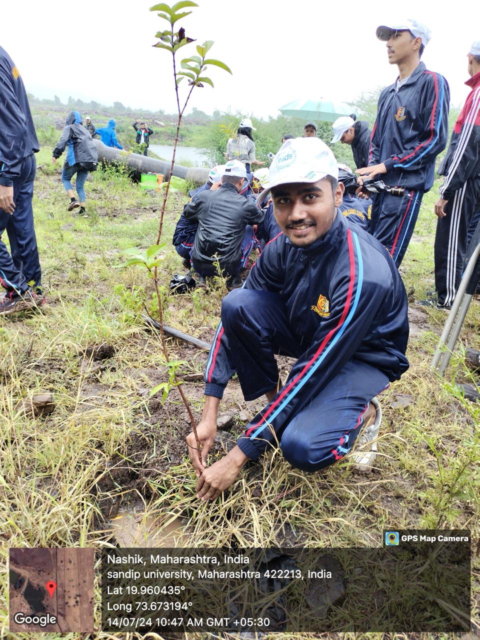 Tree Plantation 3